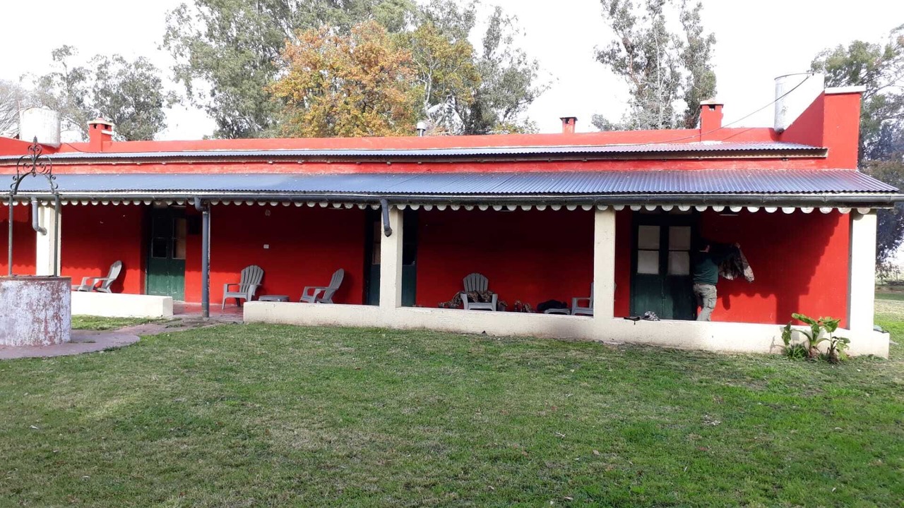 Photo of Outdoor in Partido de General Madariaga