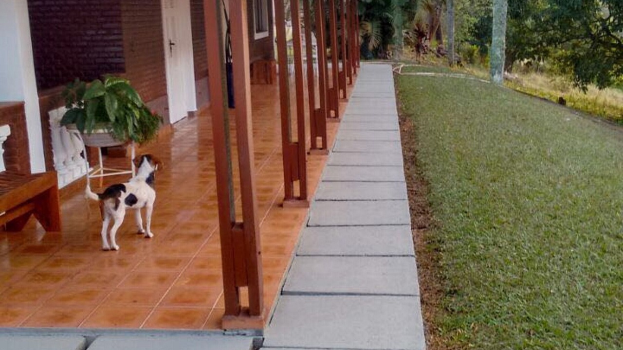 Photo of Outdoor in Braganca Paulista