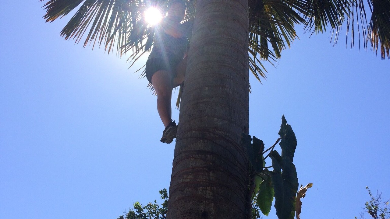 Photo of Outdoor in Santa Terezinha