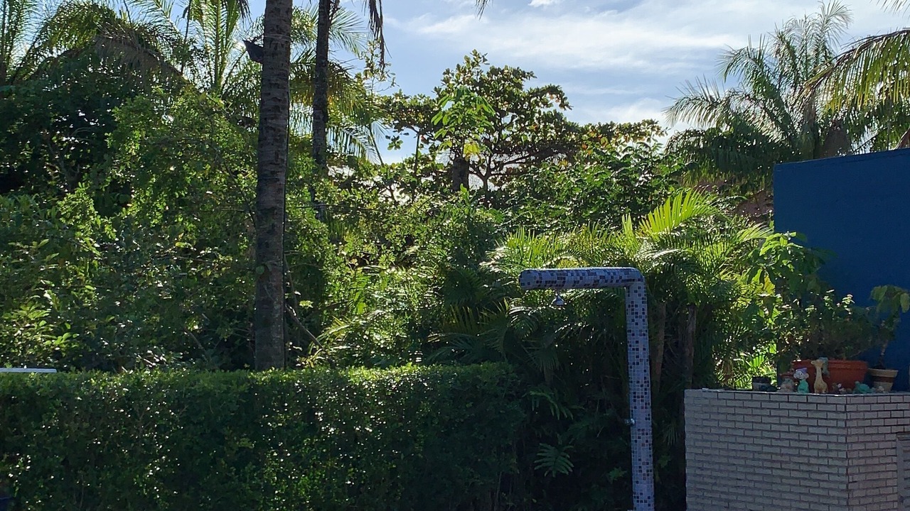 Photo of Outdoor in Guarutuba