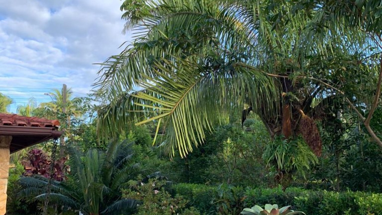 Photo of Outdoor in Guarutuba