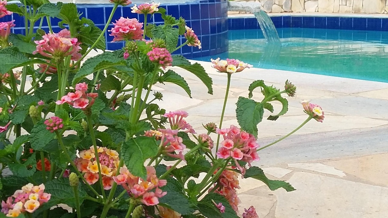 Photo of Outdoor in Itapecerica da Serra