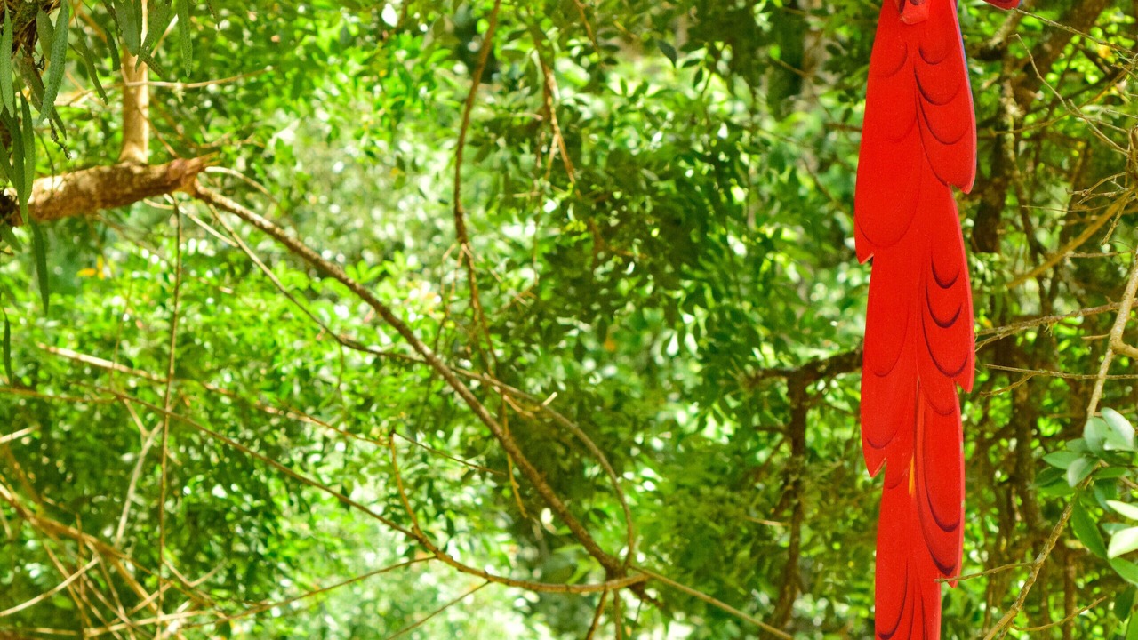 Photo of Outdoor in Terra Preta