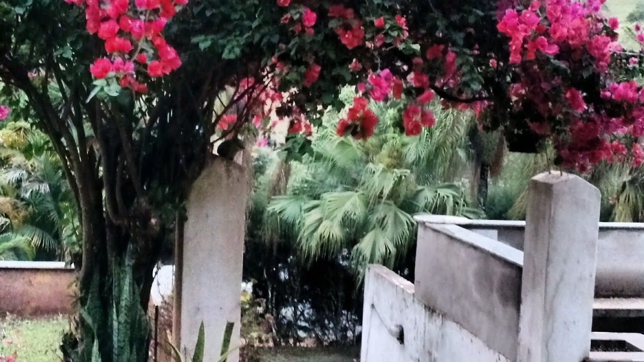 Photo of Outdoor in Piracaia