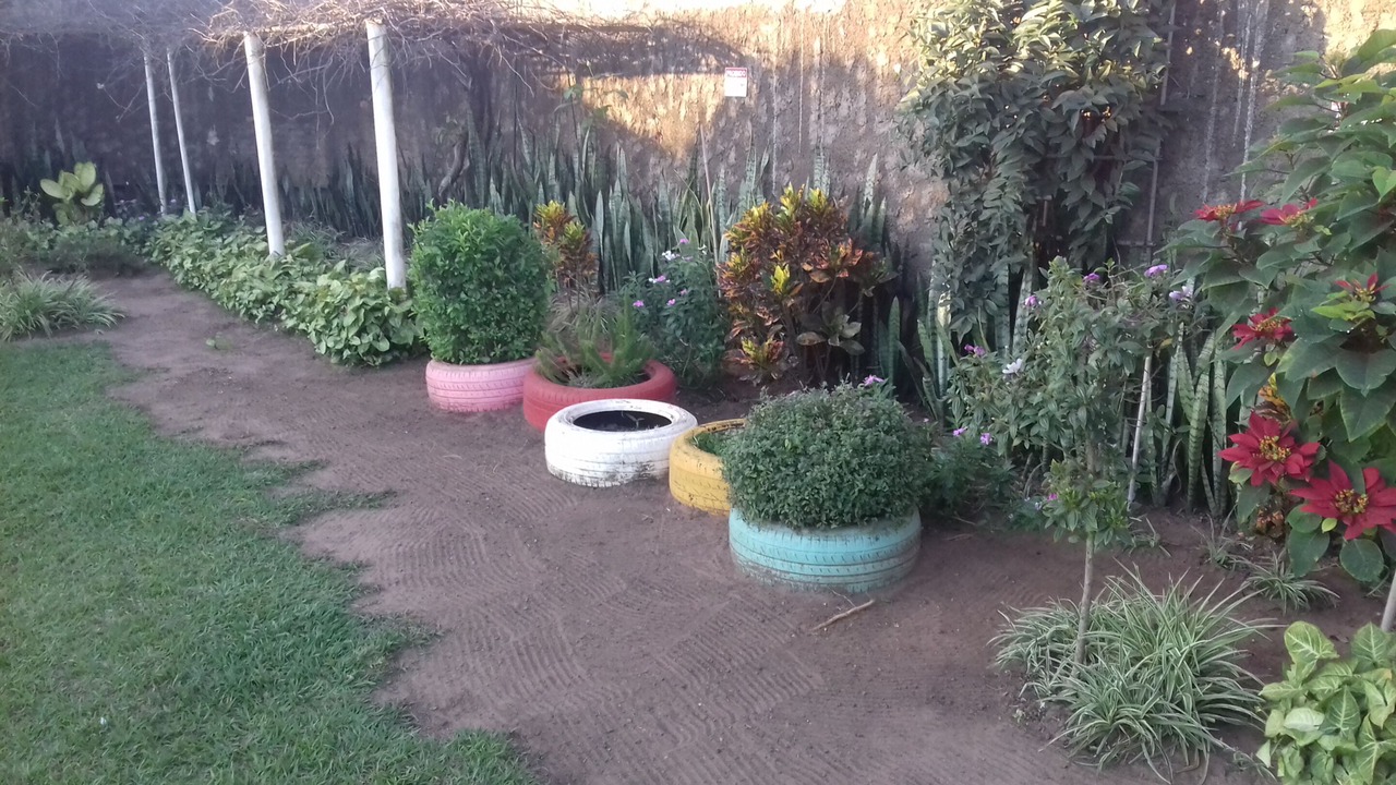 Photo of Outdoor in Rio Claro