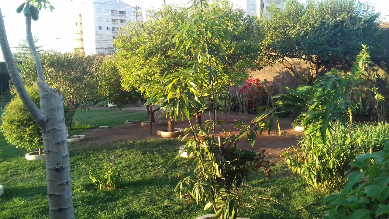 Photo of Outdoor in Rio Claro