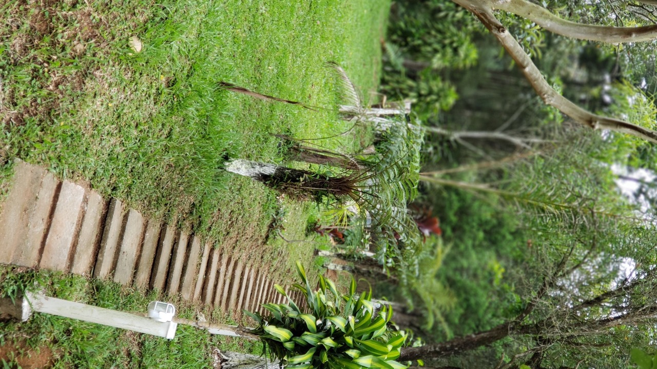 Photo of Outdoor in Suzano