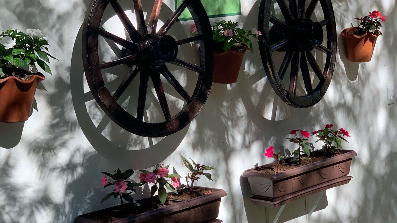 Photo of Outdoor in Terra Preta