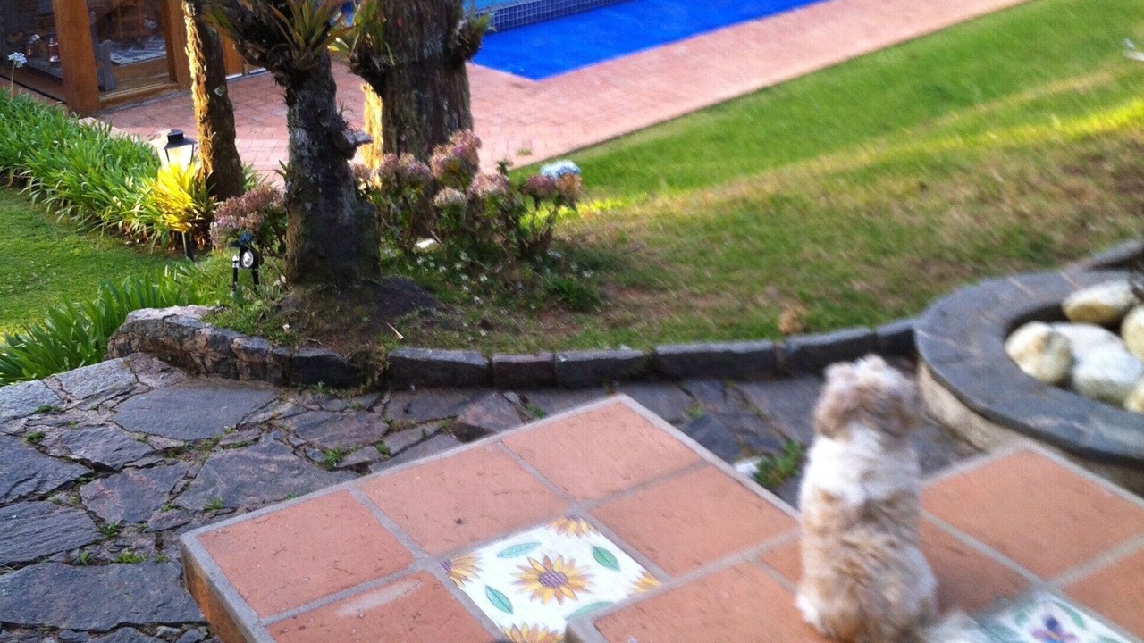 Photo of Others in Vila Loli