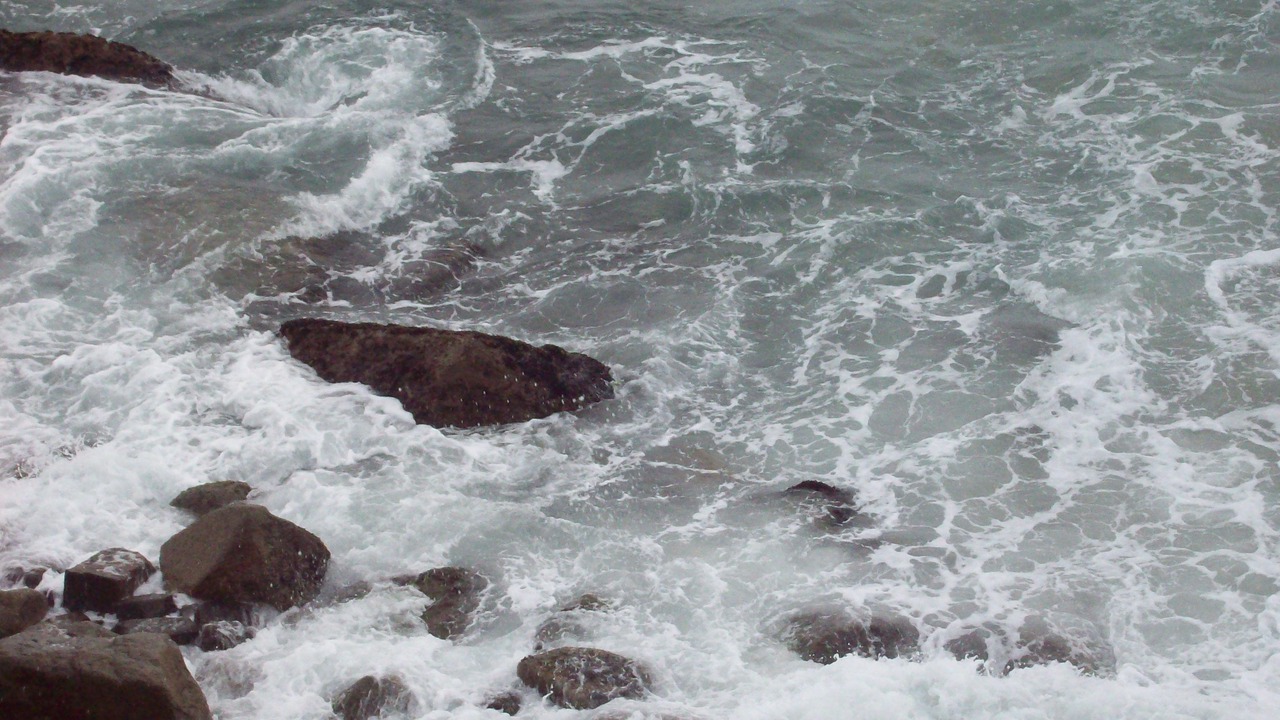 Photo of Others in Toninhas