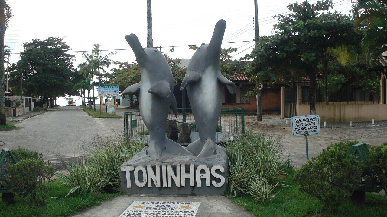 Photo of Others in Toninhas