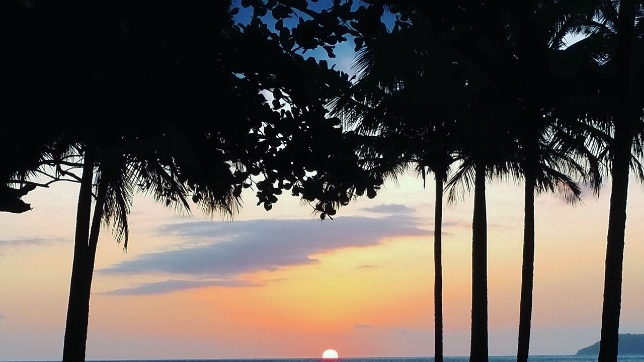 Photo of Others in Praia de Barequecaba