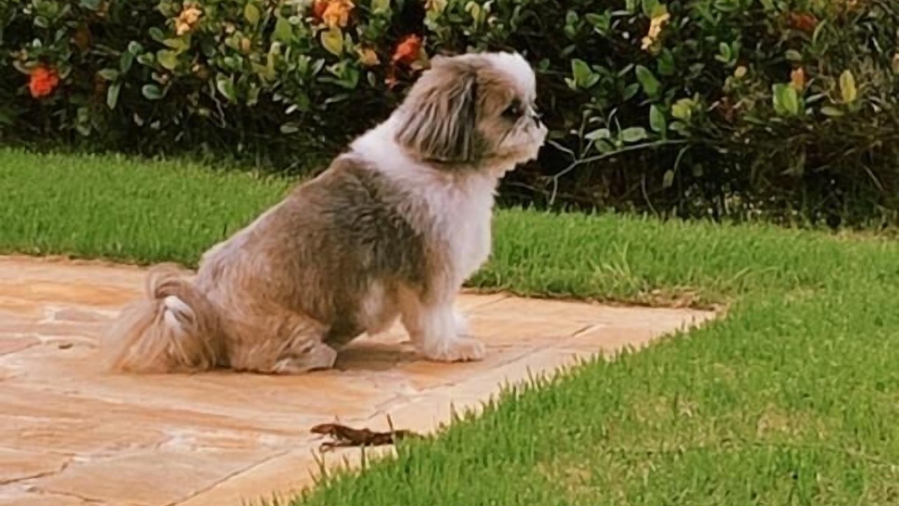 Photo of Outdoor in Amparo