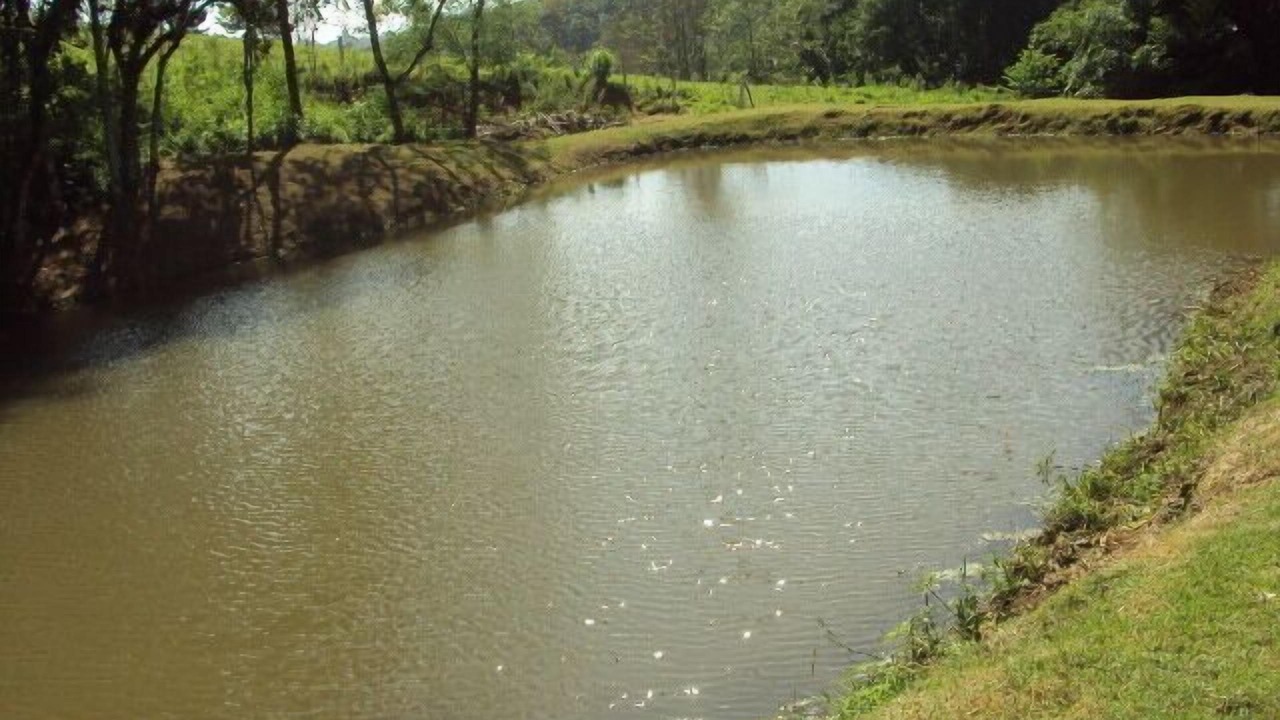Photo of Outdoor in Ibiuna