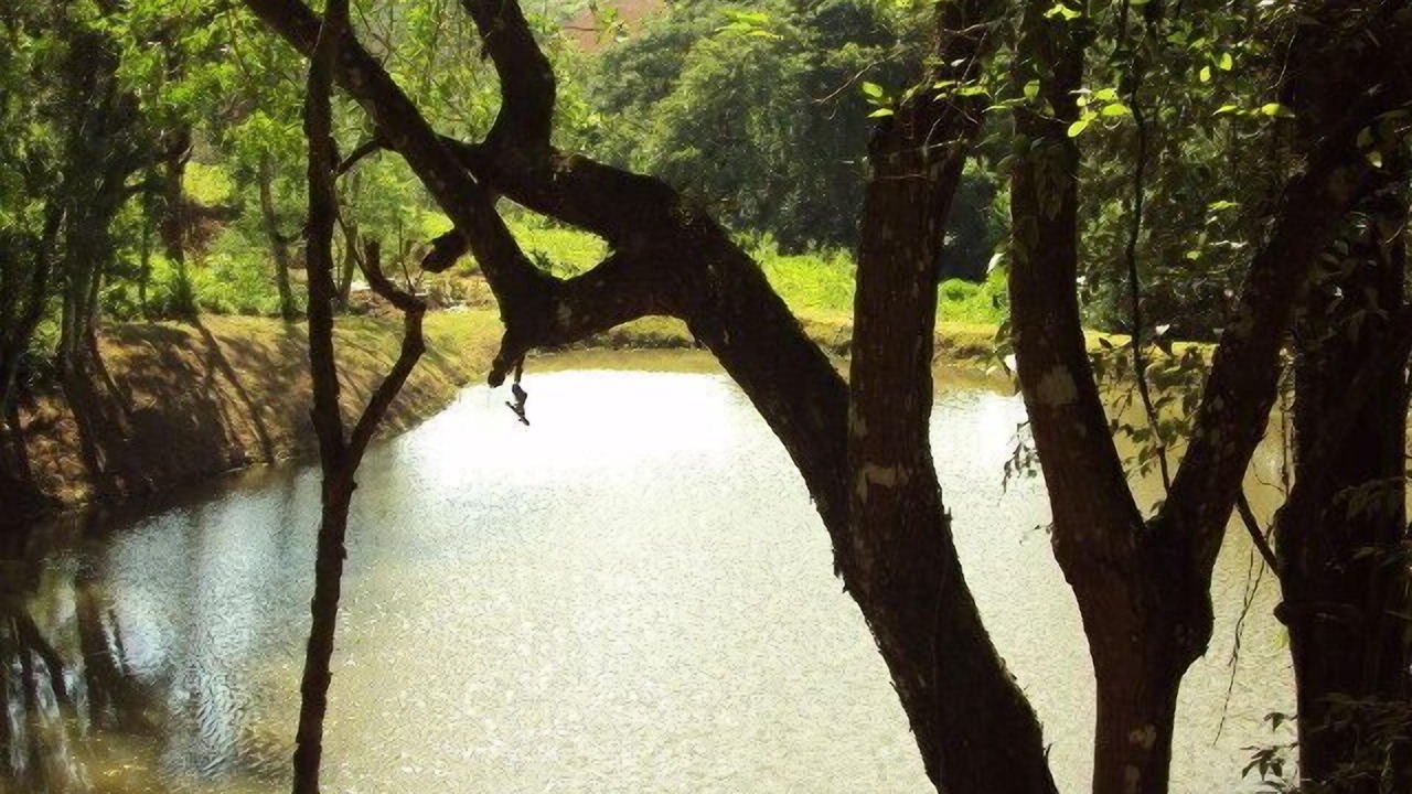 Photo of Outdoor in Ibiuna