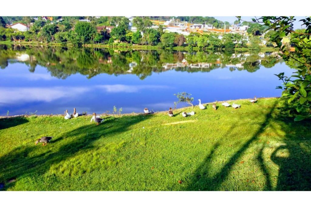 Photo of Others in Parque Velho Hotel