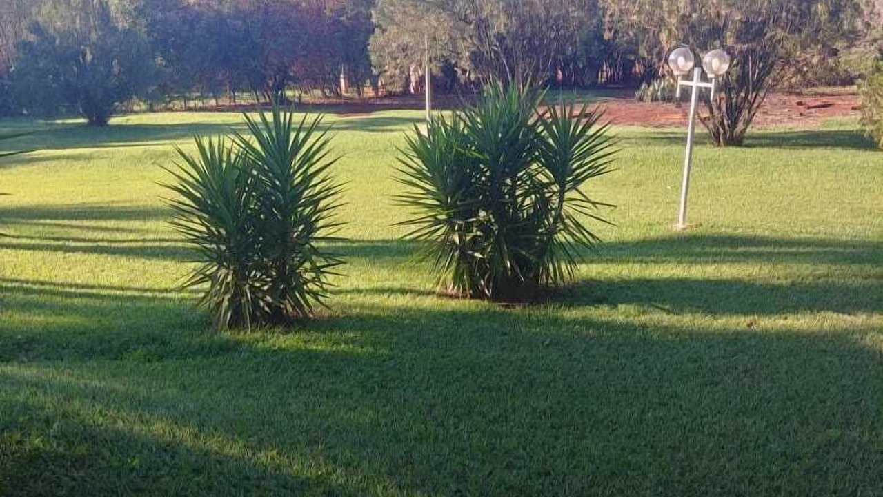 Photo of Outdoor in Ribeirao Preto