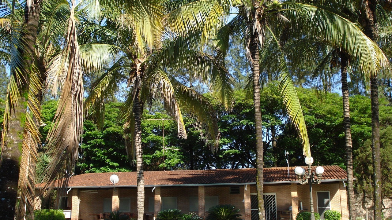 Photo of Outdoor in Ribeirao Preto