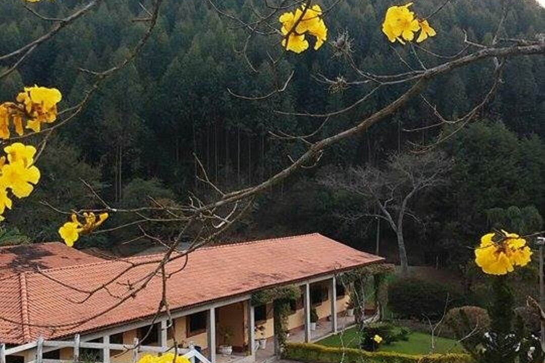 Photo of Outdoor in Sao Joao Novo