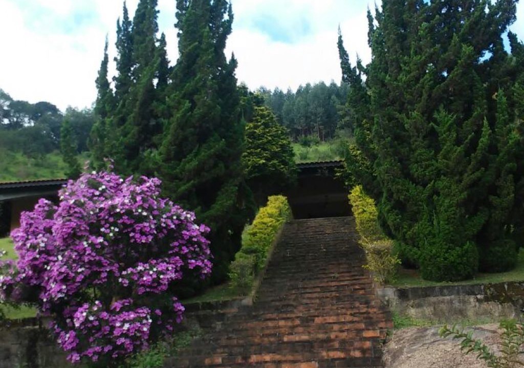 Photo of Outdoor in Sao Joao Novo