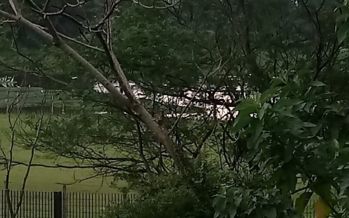 Photo of Outdoor in Sao Paulo
