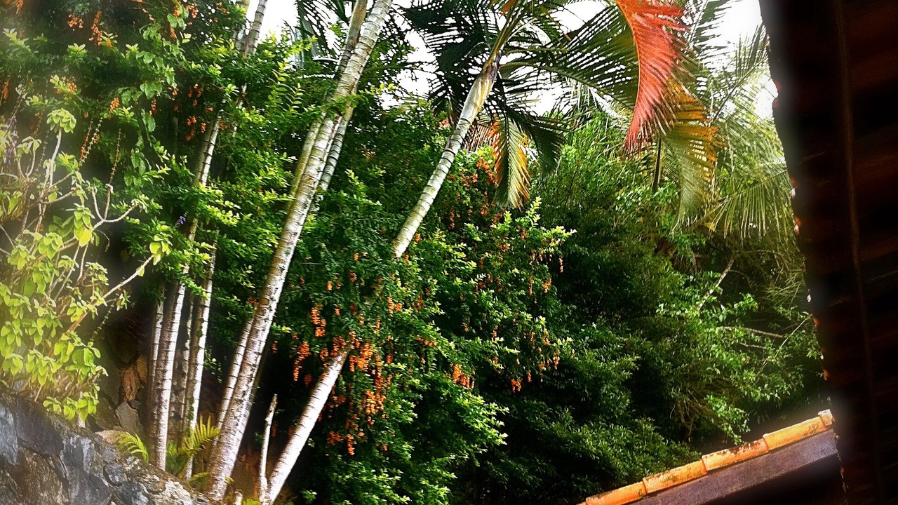 Photo of Outdoor in Prainha