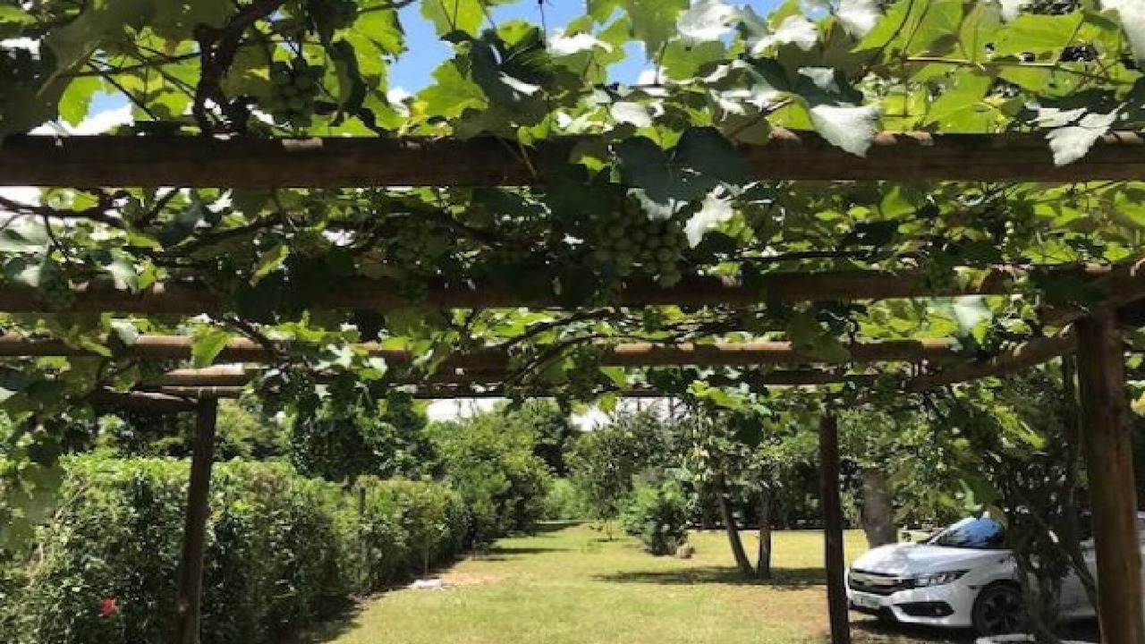 Photo of Outdoor in Serra Azul