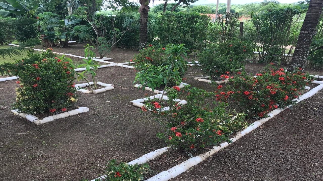 Photo of Outdoor in Serra Azul