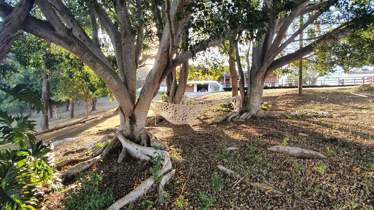Photo of Outdoor in Sete Pontes