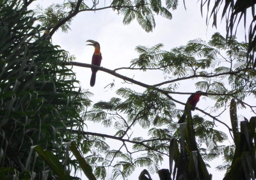 Photo of Outdoor in Ibiuna