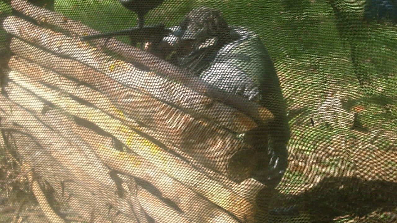 Photo of Outdoor in Ibiuna