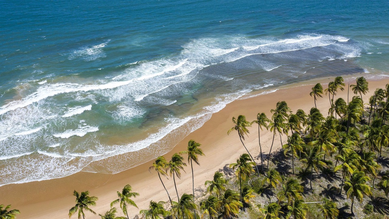 Photo of Others in Barra Grande