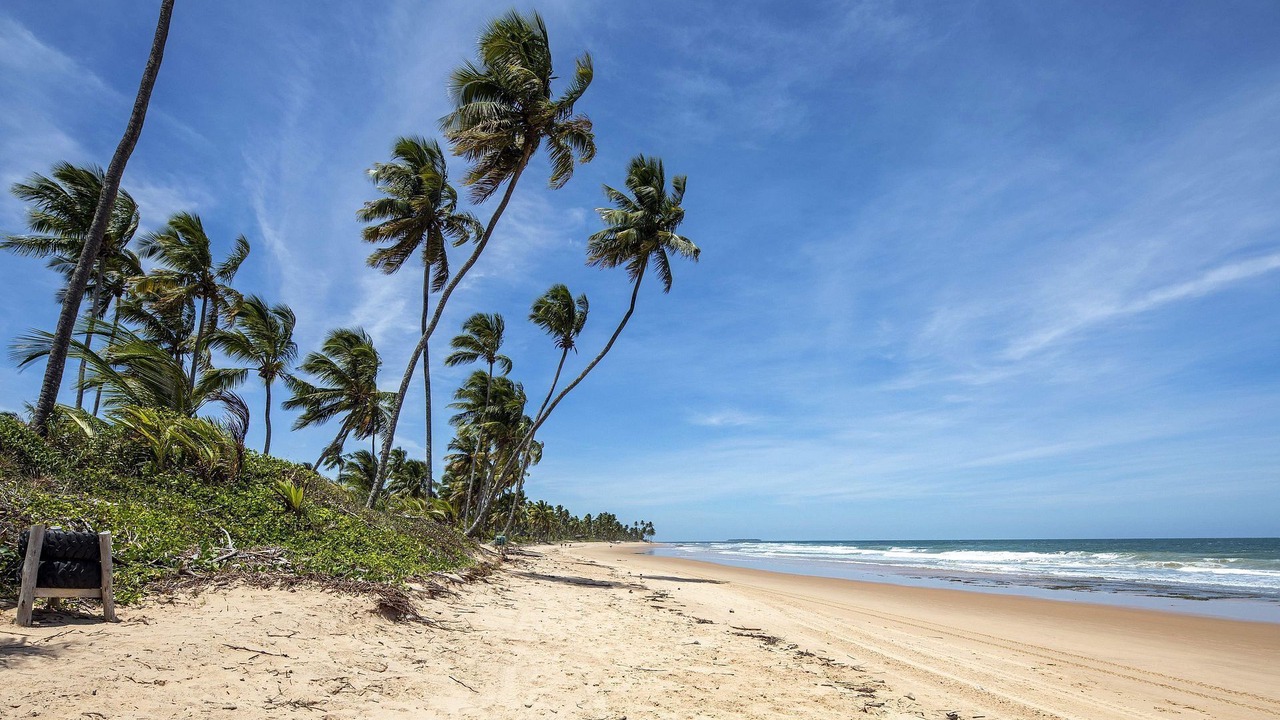 Photo of Others in Barra Grande