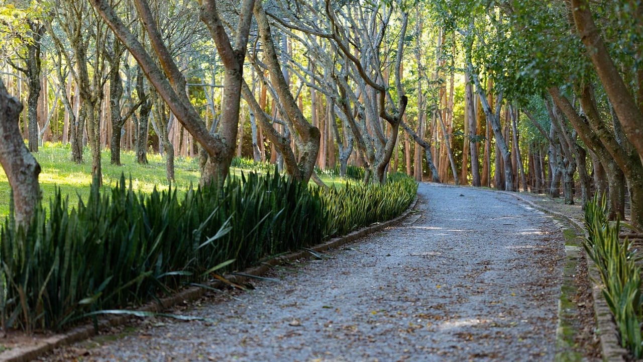 Photo of Outdoor in Salto de Pirapora
