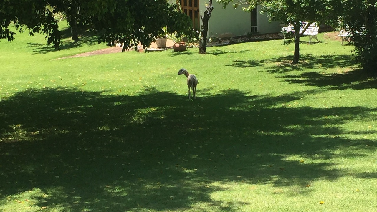 Photo of Outdoor in Sorocaba