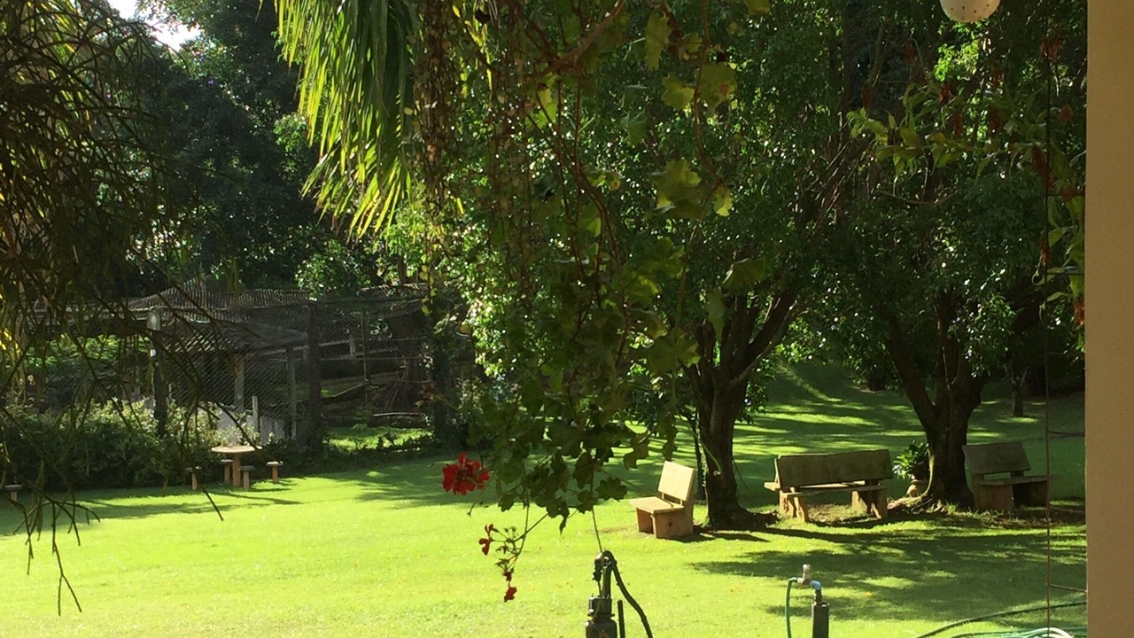 Photo of Outdoor in Sorocaba