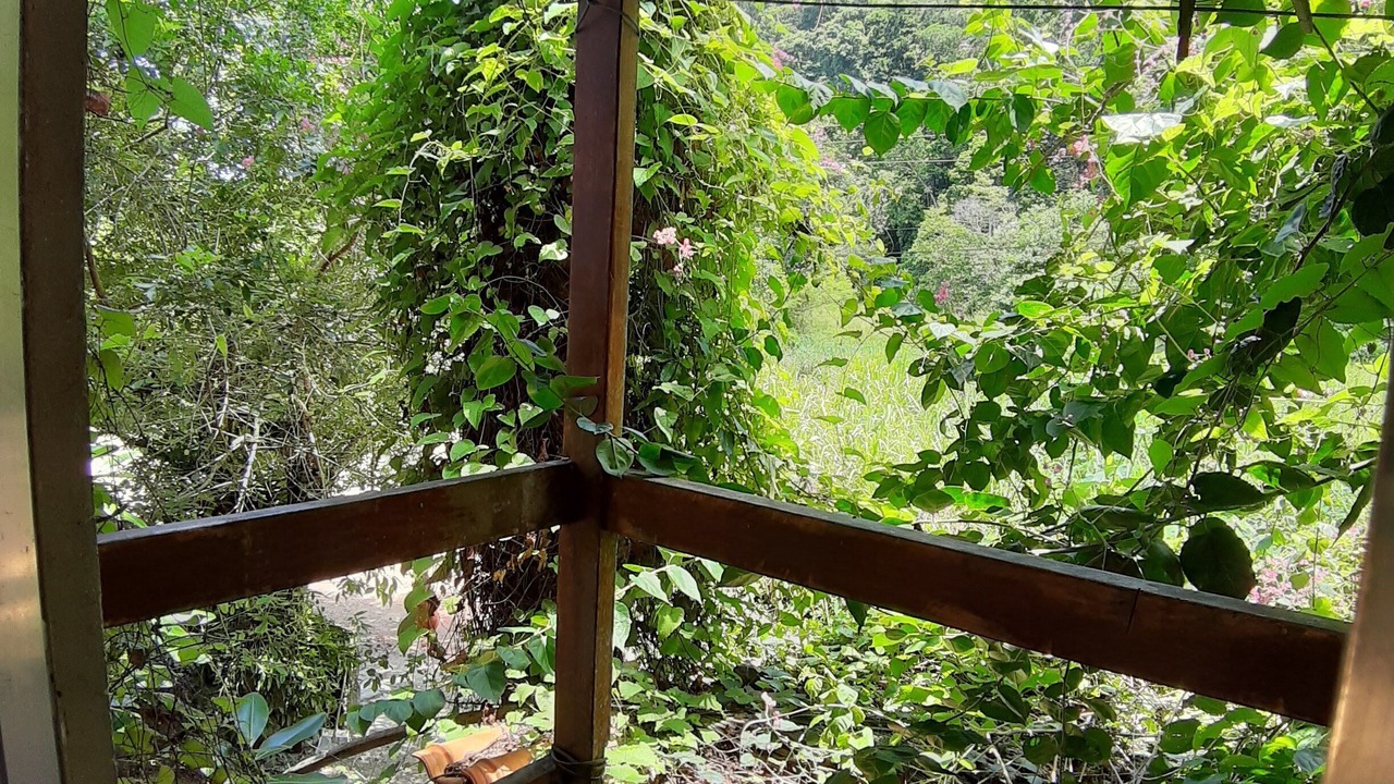 Photo of Outdoor in Praia do Pauba