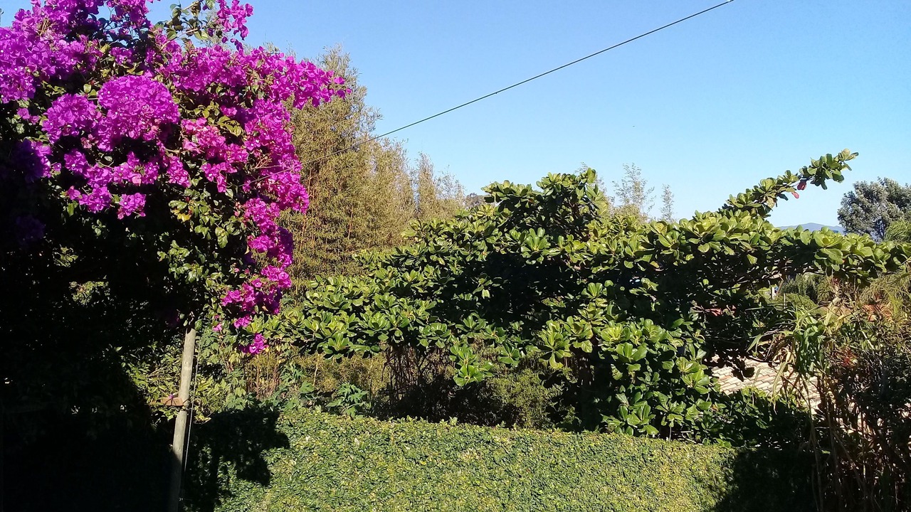 Photo of Outdoor in Praia do Rosa