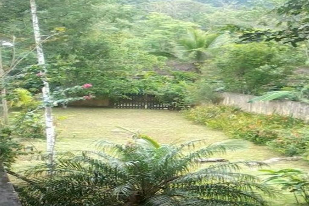 Photo of Outdoor in Camburi