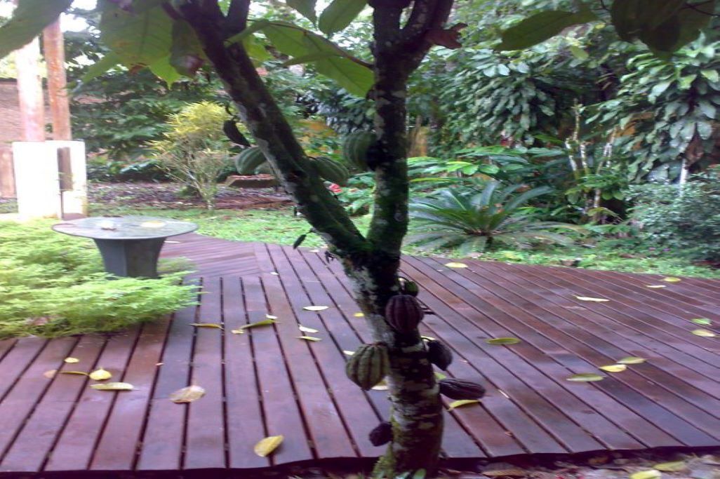 Photo of Outdoor in Camburi