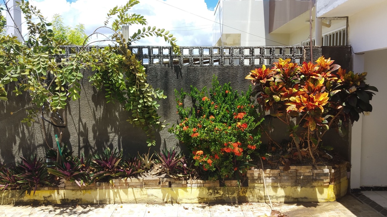 Photo of Outdoor in Sao Jose da Coroa Grande