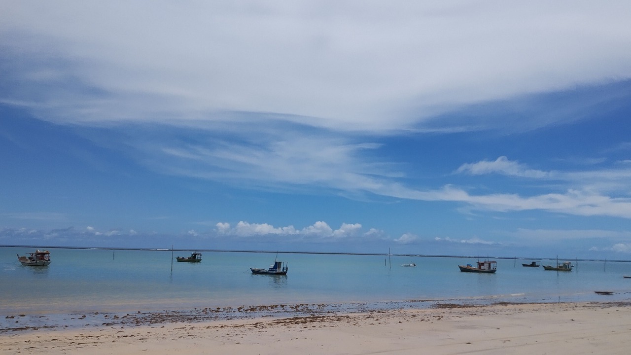 Photo of Others in Sao Jose da Coroa Grande