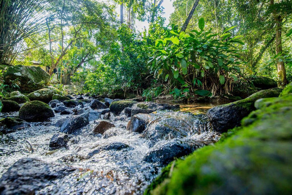 Photo of Outdoor in Costa Bela