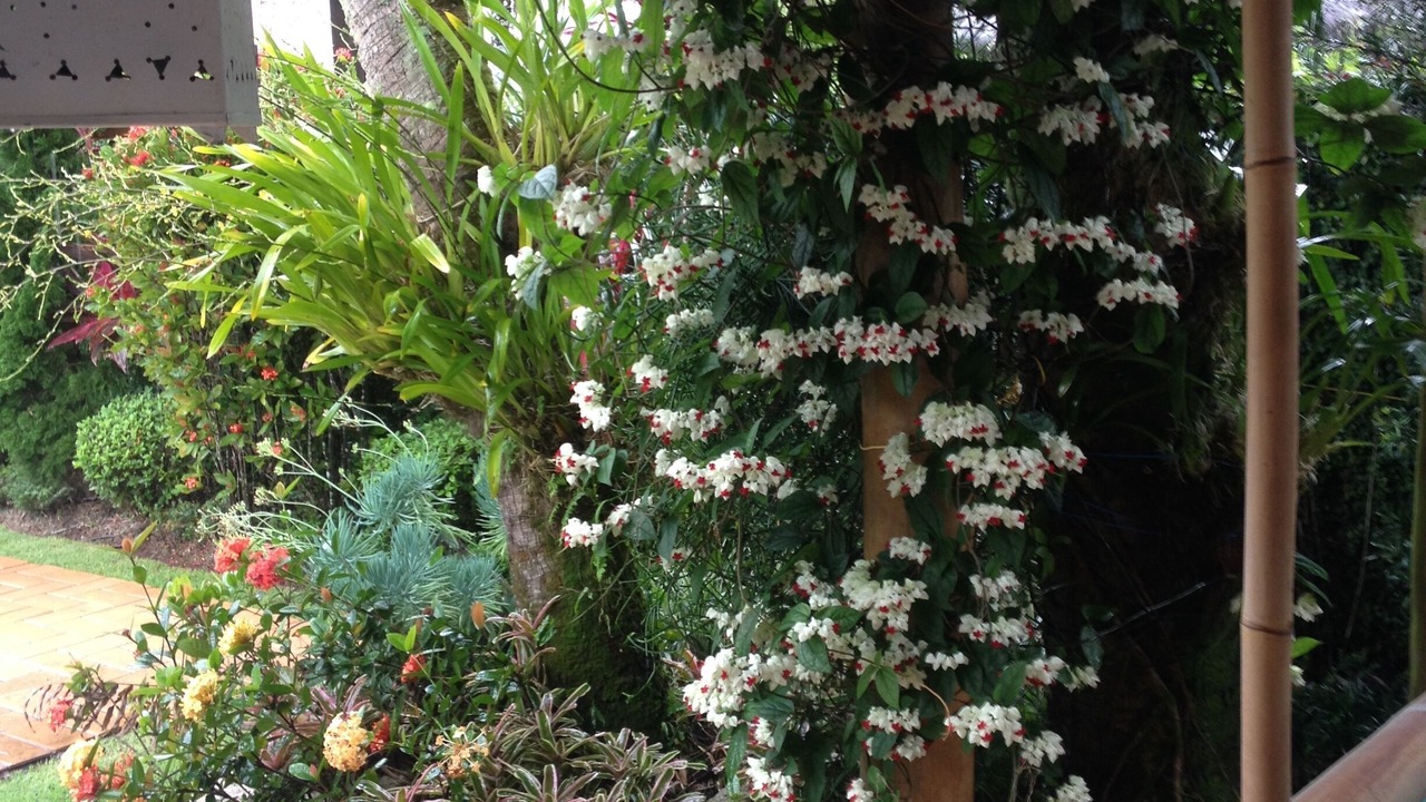 Photo of Outdoor in Jardim Acapulco