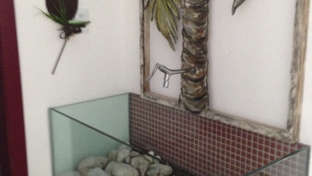 Photo of Bathroom in Jardim Acapulco