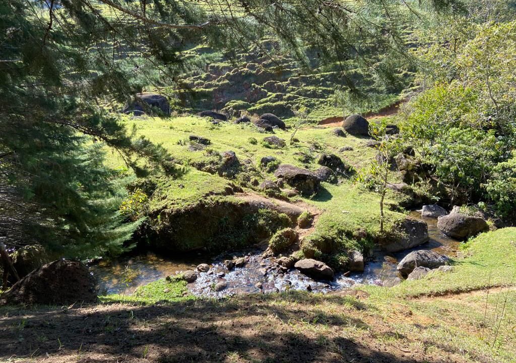 Photo of Outdoor in Sao Francisco Xavier