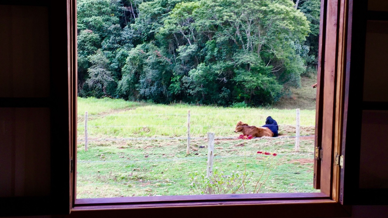 Photo of Others in Cunha