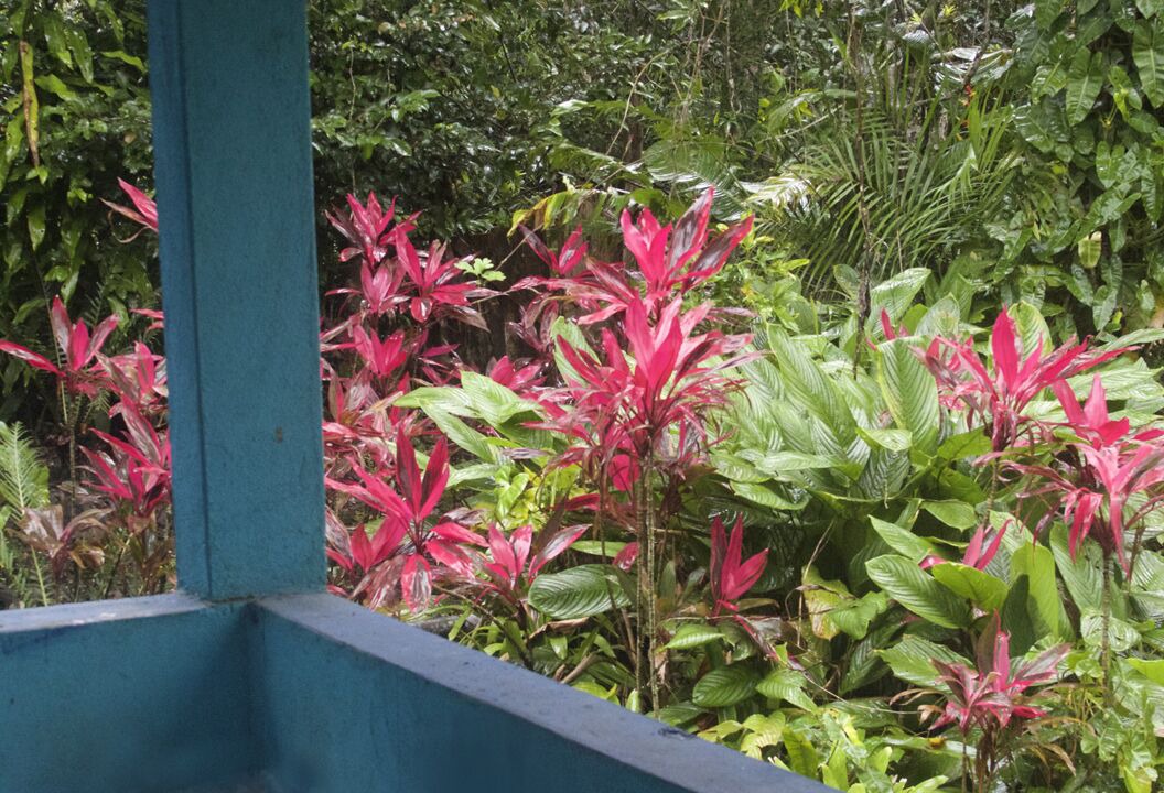 Photo of Outdoor in Balneario Santa Eugenia