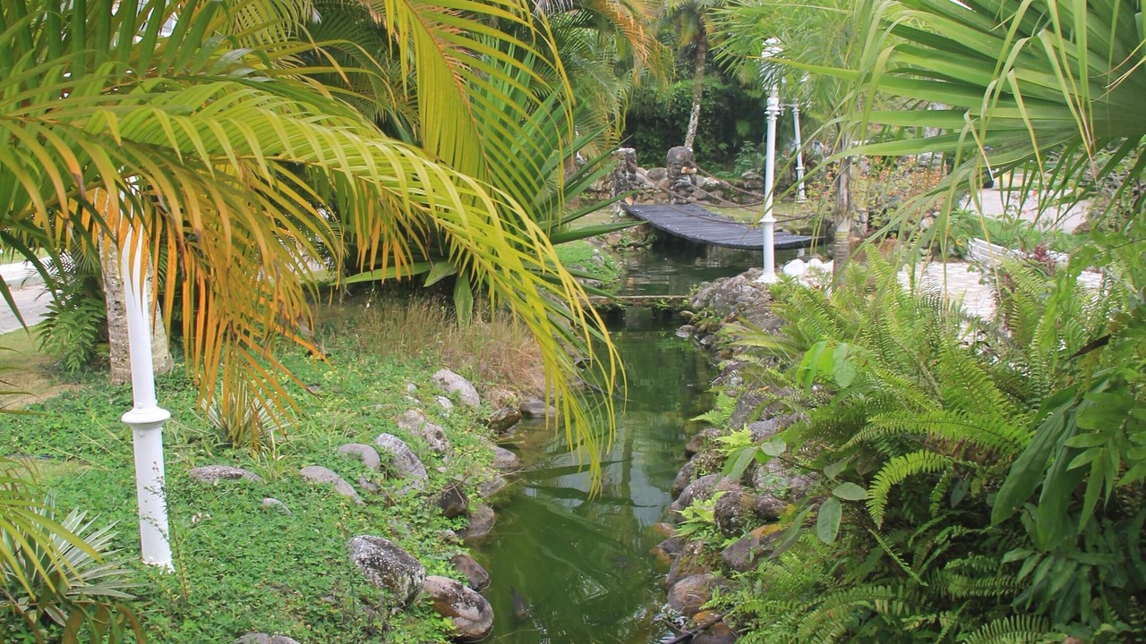 Photo of Outdoor in Toninhas