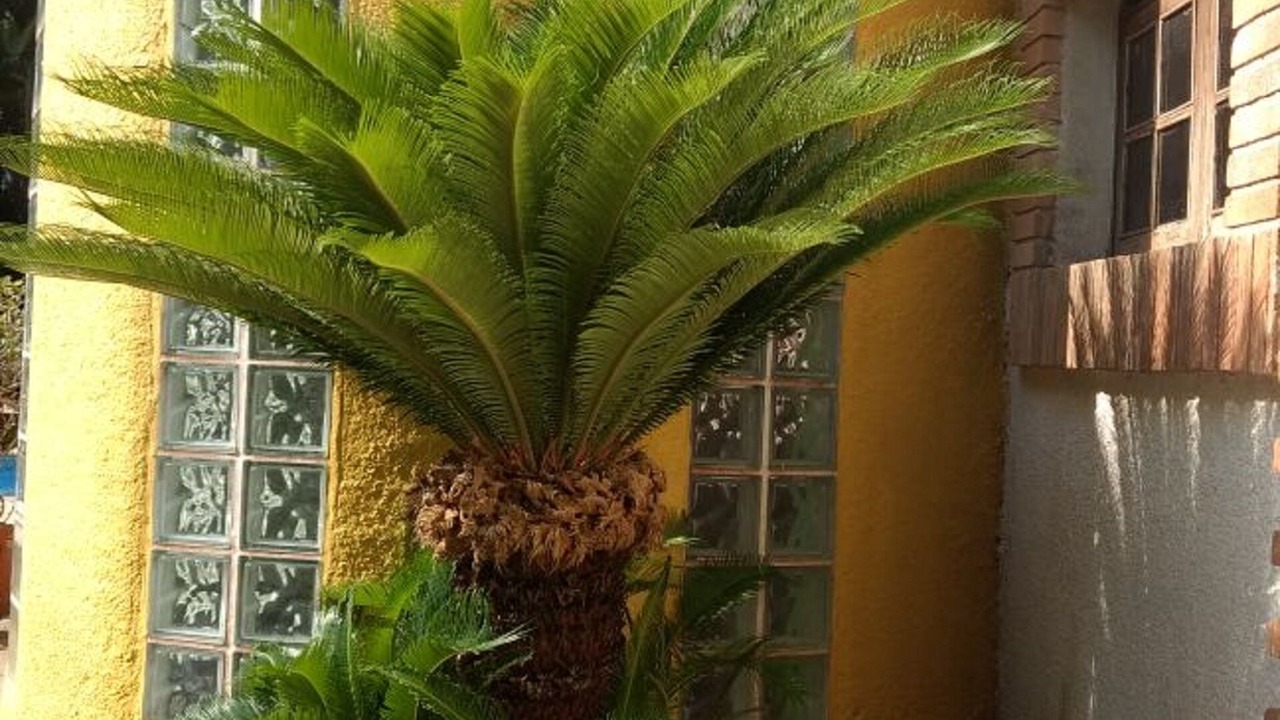 Photo of Outdoor in Costa do Sol